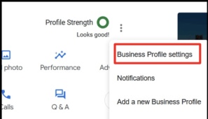 Google Business Profile ID